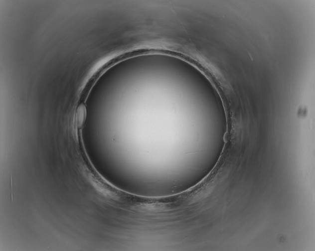 X0000097621272200802291317