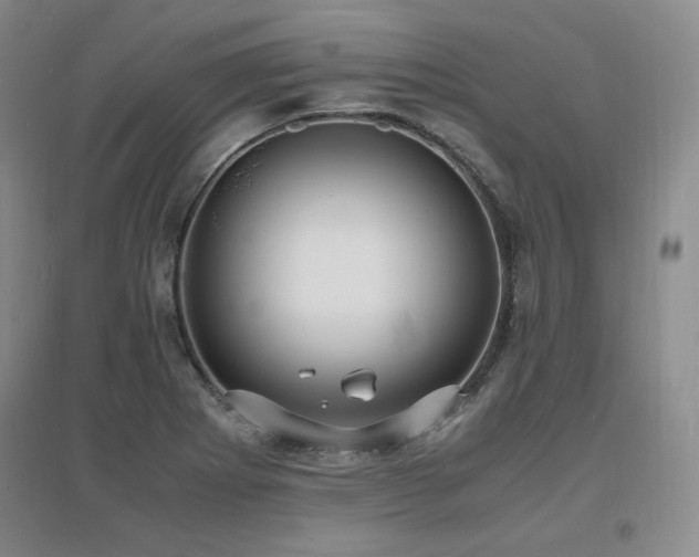 X0000097621273200802291317