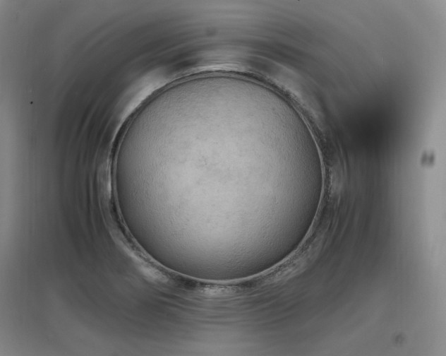 X0000097621274200802291317