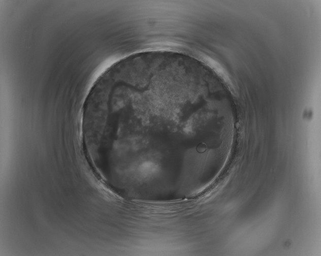 X0000097621275200802291317