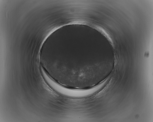 X0000097621276200802291317
