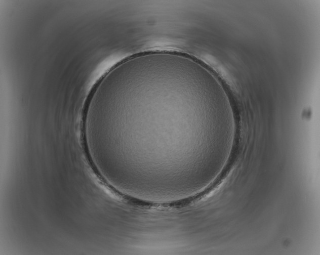 X0000097621277200802291317