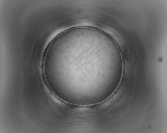 X0000097621278200802291317