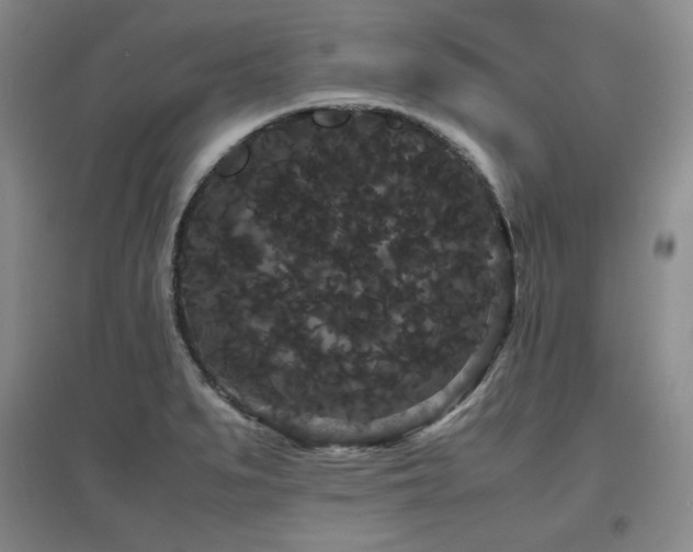 X0000097621279200802291317