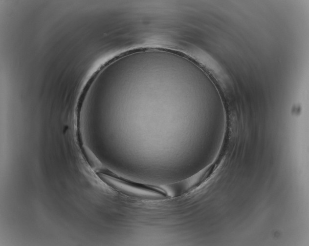 X0000097621280200802291317