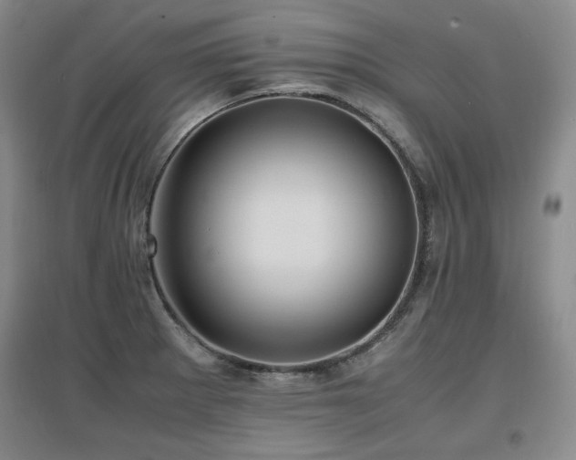 X0000097621281200802291317