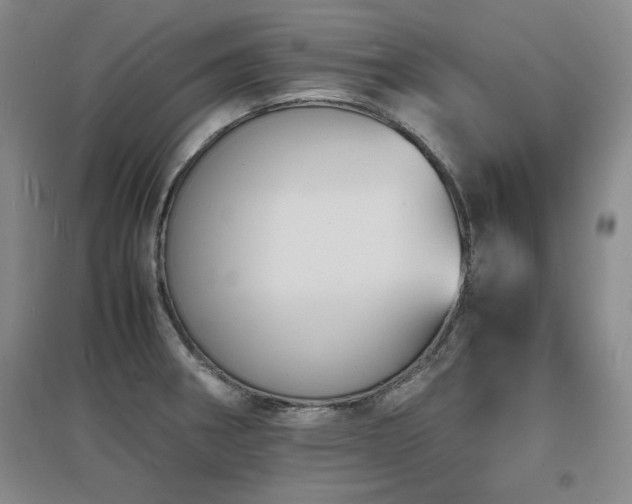 X0000097621282200802291317
