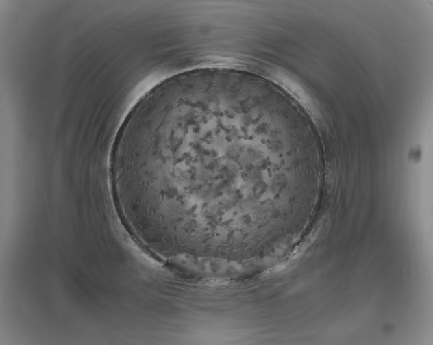 X0000097621283200802291317