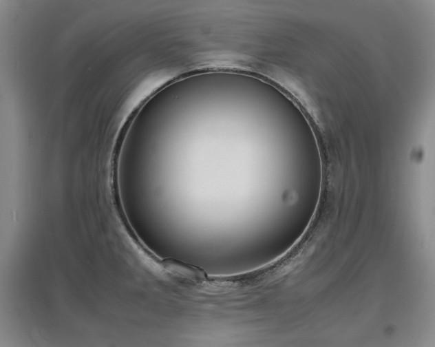 X0000097621285200802291317