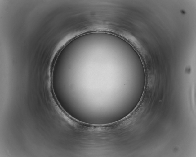 X0000097621286200802291317