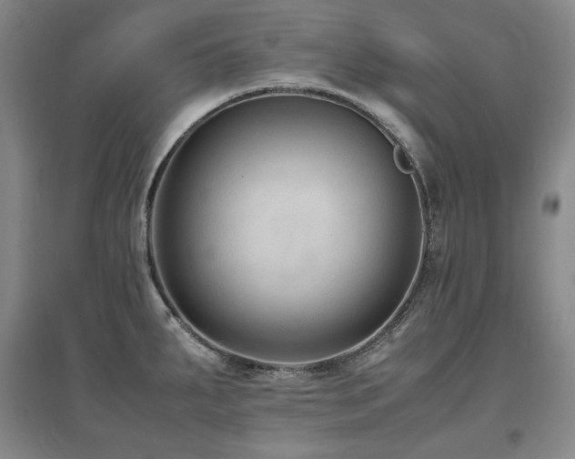 X0000097621287200802291317