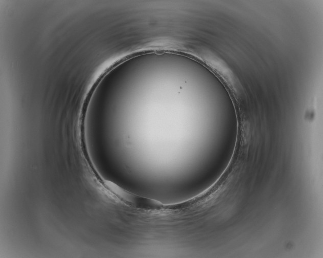 X0000097621288200802291317
