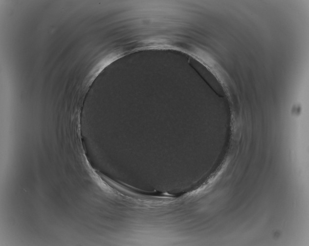 X0000097621289200802291317