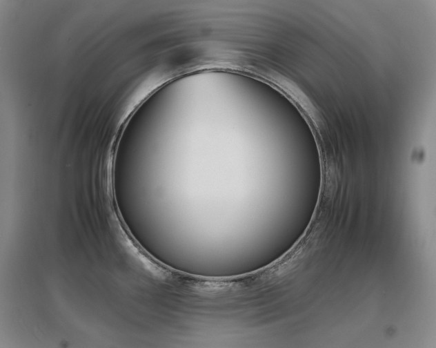 X0000097621290200802291317