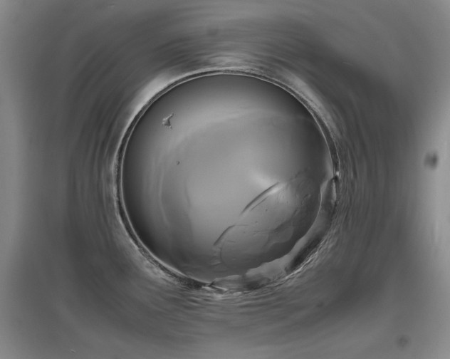 X0000097621291200802291317