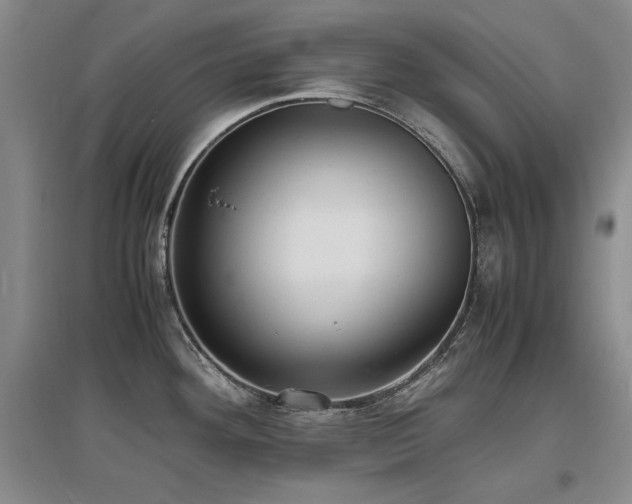 X0000097621292200802291317