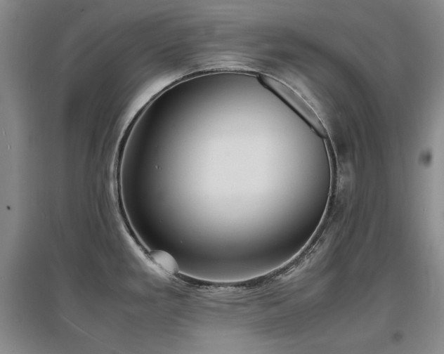 X0000097621293200802291317