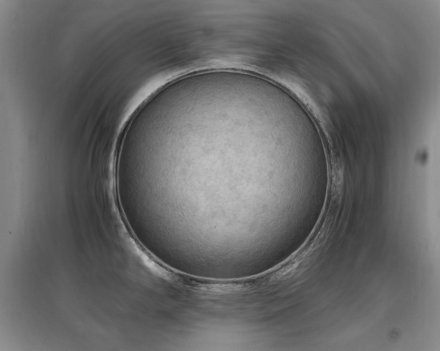 X0000097621294200802291317