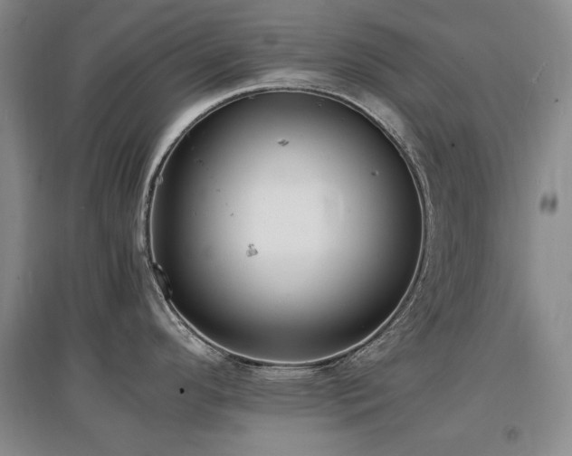 X0000097621296200802291317