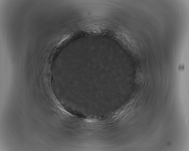 X0000097621297200802291316