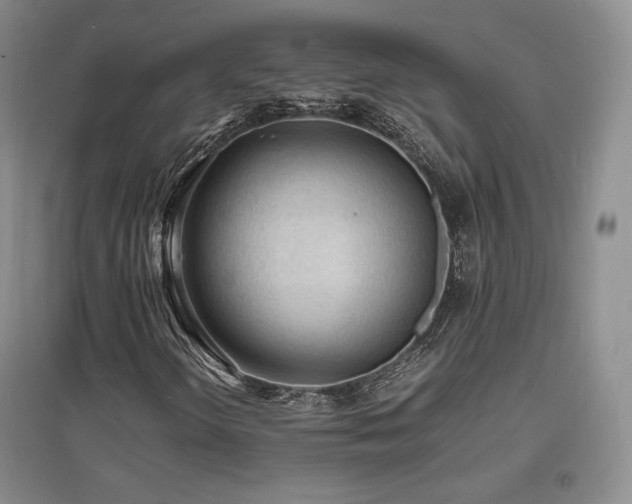 X0000097621298200802291316