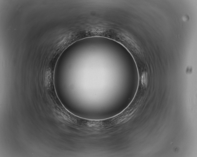 X0000097621299200802291316