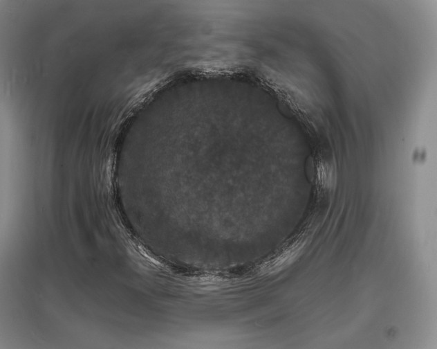 X0000097621300200802291316