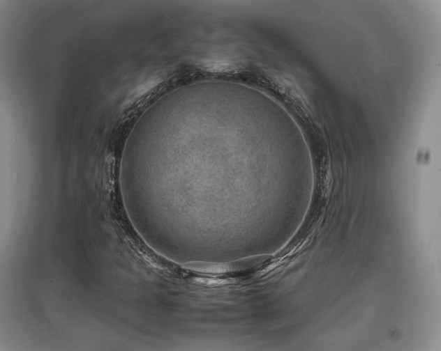 X0000097621301200802291316