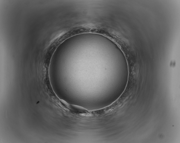 X0000097621302200802291316