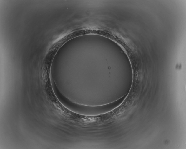 X0000097621303200802291316