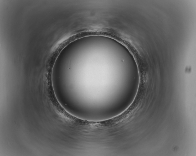 X0000097621304200802291316