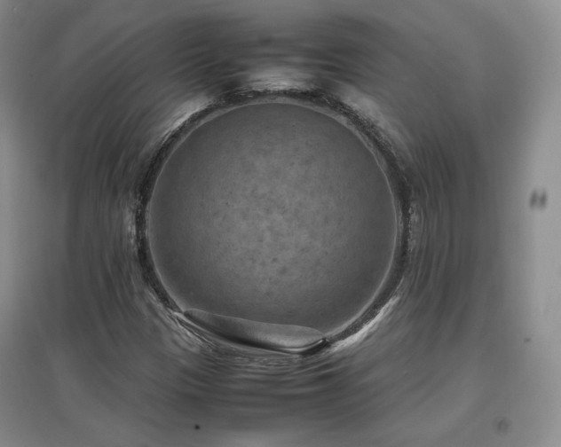 X0000097621305200802291316