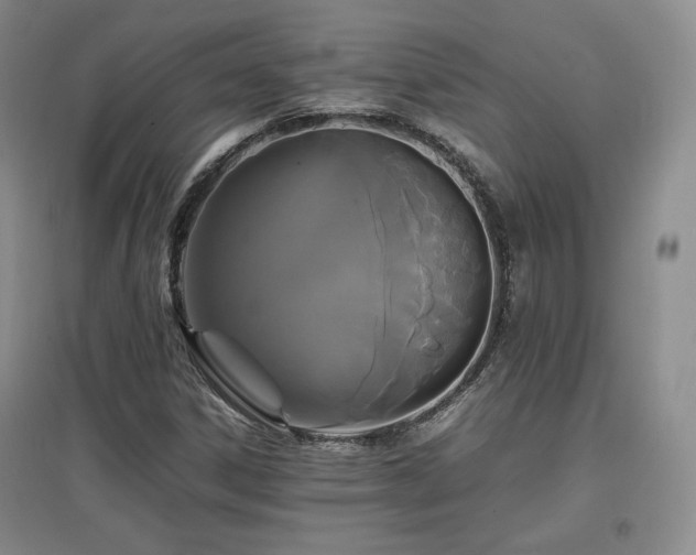 X0000097621306200802291316
