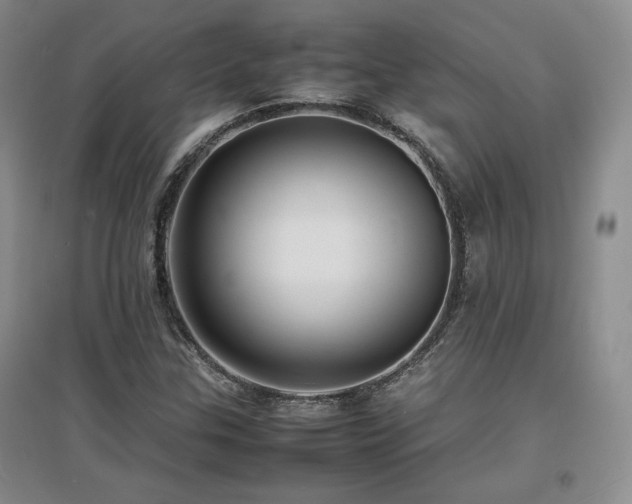 X0000097621307200802291316