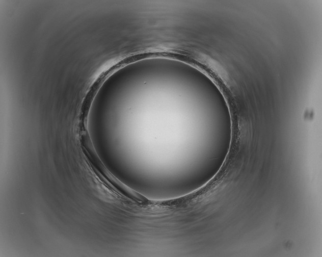 X0000097621308200802291316