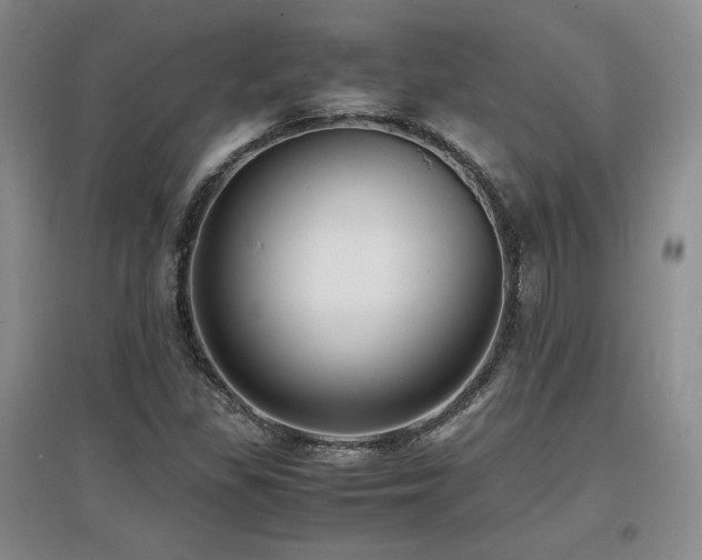 X0000097621309200802291316