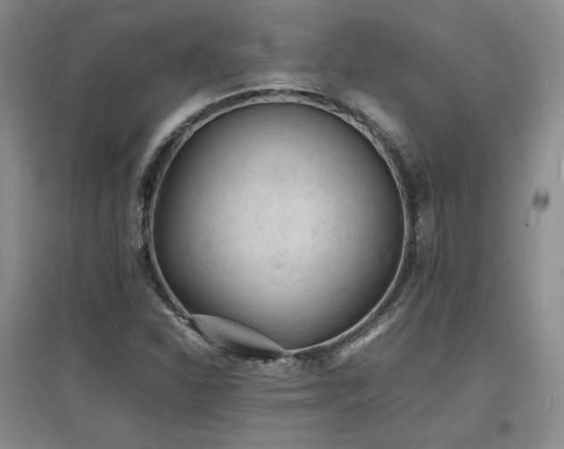 X0000097621310200802291316