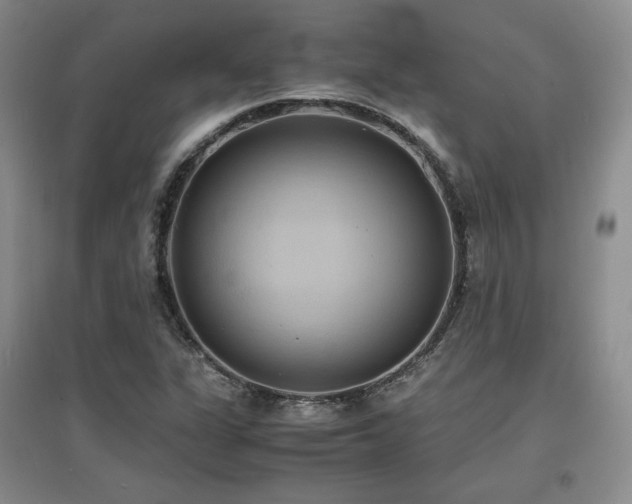 X0000097621311200802291316