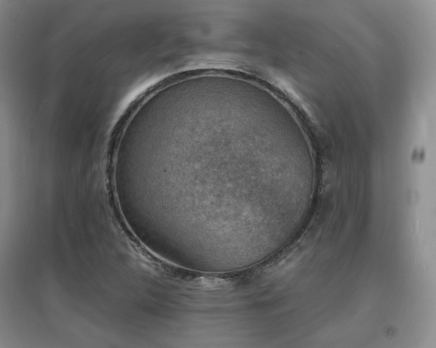 X0000097621312200802291316