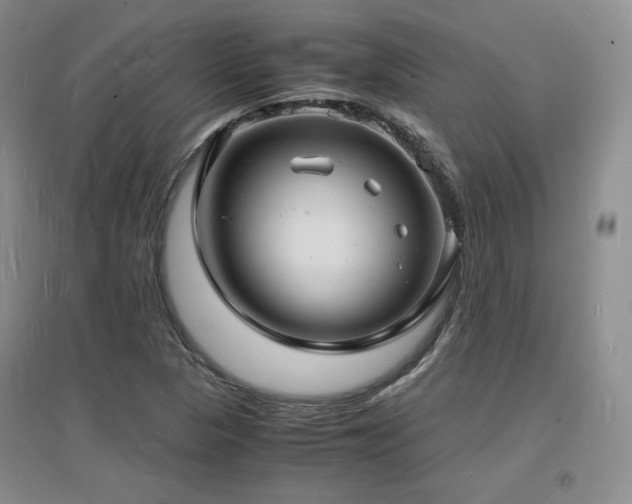 X0000097621313200802291316