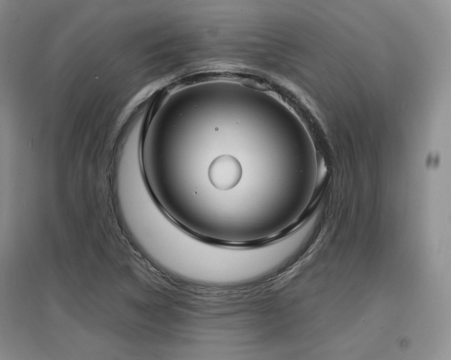 X0000097621314200802291316