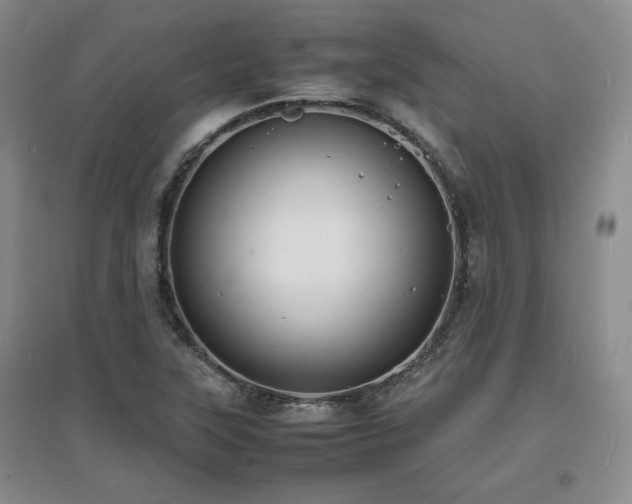 X0000097621315200802291316