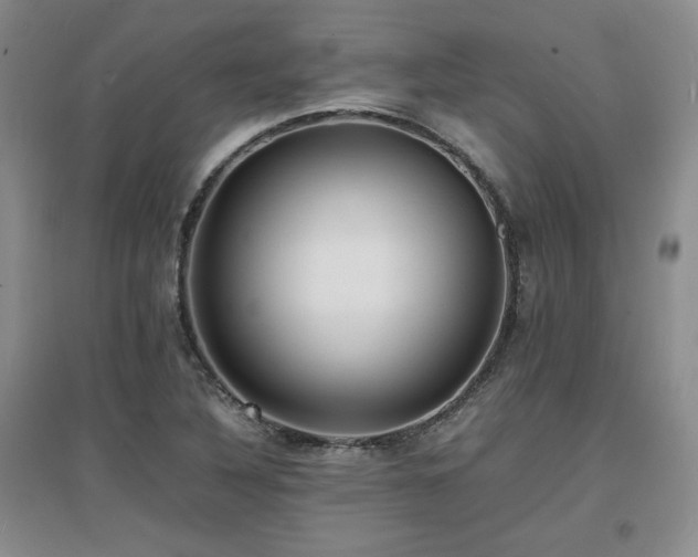 X0000097621316200802291316