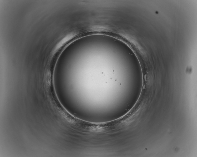 X0000097621317200802291316