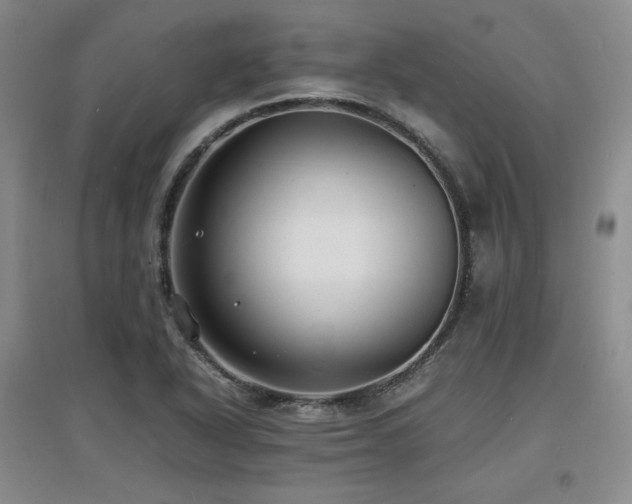 X0000097621318200802291316