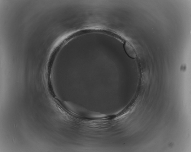 X0000097621319200802291316