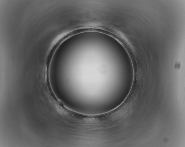 X0000097621320200802291316