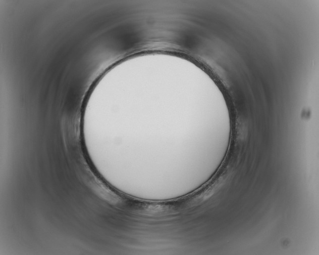 X0000097621322200802291316