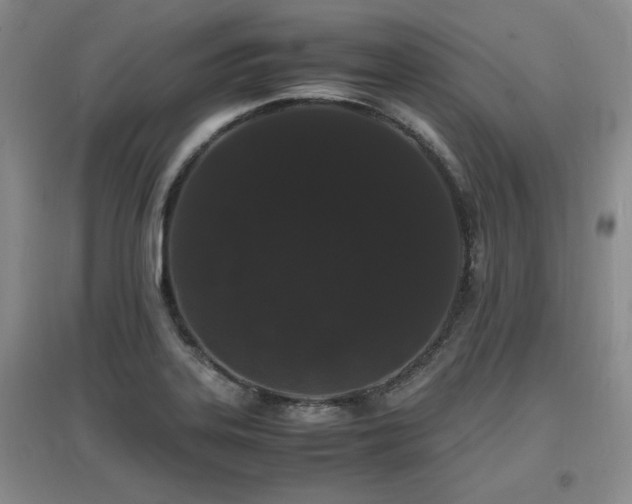 X0000097621323200802291316