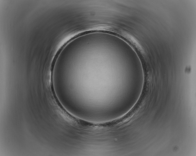 X0000097621324200802291316